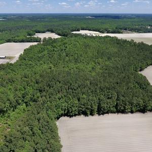 Photo #9 of SOLD property in Off Hwy 210, Garland, NC 656.0 acres