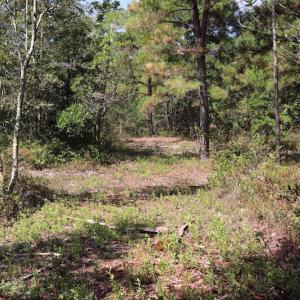Photo #40 of SOLD property in Off Hwy 210, Garland, NC 656.0 acres