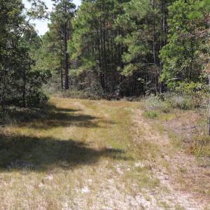 Photo #41 of SOLD property in Off Hwy 210, Garland, NC 656.0 acres