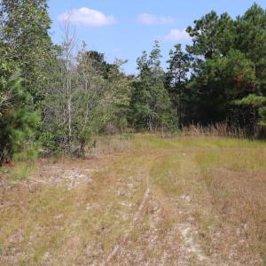 Photo #42 of SOLD property in Off Hwy 210, Garland, NC 656.0 acres