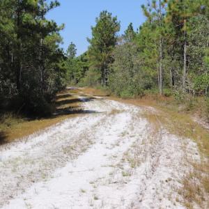 Photo #43 of SOLD property in Off Hwy 210, Garland, NC 656.0 acres