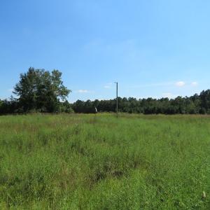 Photo #10 of SOLD property in Off Dawns Drive, Rowland, NC 17.9 acres