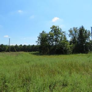 Photo #4 of SOLD property in Off Dawns Drive, Rowland, NC 17.9 acres