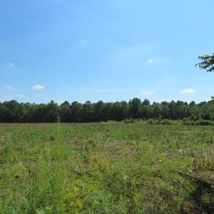 Photo #6 of SOLD property in Off Dawns Drive, Rowland, NC 17.9 acres