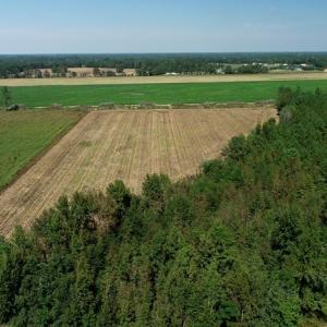 Photo #7 of SOLD property in Off Dawns Drive, Rowland, NC 17.9 acres