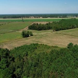 Photo #9 of SOLD property in Off Dawns Drive, Rowland, NC 17.9 acres