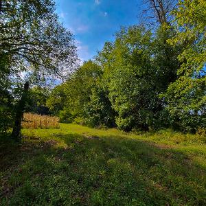 Photo #9 of SOLD property in Off Coles Ferry Road, Nathalie, VA 31.5 acres