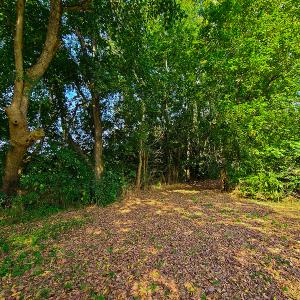 Photo #11 of SOLD property in Off Coles Ferry Road, Nathalie, VA 31.5 acres