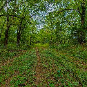 Photo #13 of SOLD property in Off Coles Ferry Road, Nathalie, VA 31.5 acres