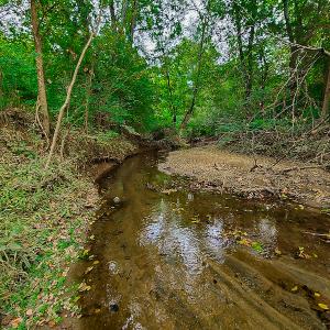 Photo #15 of SOLD property in Off Coles Ferry Road, Nathalie, VA 31.5 acres