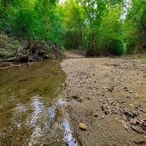 Photo #16 of SOLD property in Off Coles Ferry Road, Nathalie, VA 31.5 acres