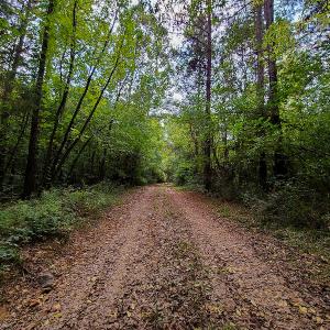 Photo #18 of SOLD property in Off Coles Ferry Road, Nathalie, VA 31.5 acres