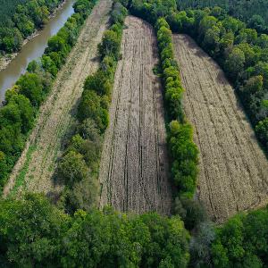 Photo #19 of SOLD property in Off Coles Ferry Road, Nathalie, VA 31.5 acres