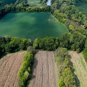 Photo #21 of SOLD property in Off Coles Ferry Road, Nathalie, VA 31.5 acres