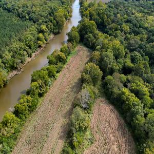 Photo #22 of SOLD property in Off Coles Ferry Road, Nathalie, VA 31.5 acres