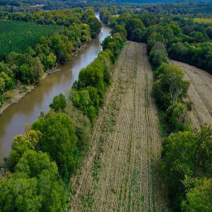 Photo #23 of SOLD property in Off Coles Ferry Road, Nathalie, VA 31.5 acres