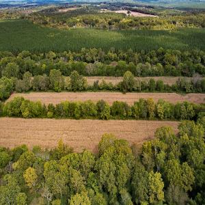 Photo #24 of SOLD property in Off Coles Ferry Road, Nathalie, VA 31.5 acres