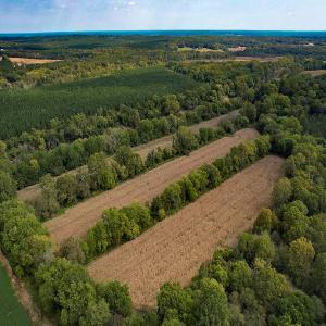 Photo #25 of SOLD property in Off Coles Ferry Road, Nathalie, VA 31.5 acres