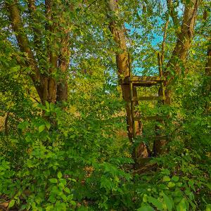 Photo #5 of SOLD property in Off Coles Ferry Road, Nathalie, VA 31.5 acres