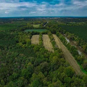 Photo #30 of SOLD property in Off Coles Ferry Road, Nathalie, VA 31.5 acres