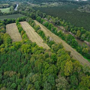 Photo #31 of SOLD property in Off Coles Ferry Road, Nathalie, VA 31.5 acres