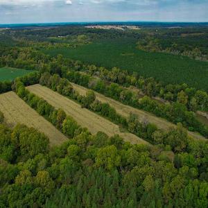 Photo #32 of SOLD property in Off Coles Ferry Road, Nathalie, VA 31.5 acres