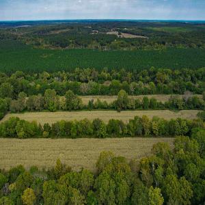Photo #33 of SOLD property in Off Coles Ferry Road, Nathalie, VA 31.5 acres