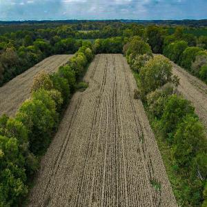 Photo #35 of SOLD property in Off Coles Ferry Road, Nathalie, VA 31.5 acres