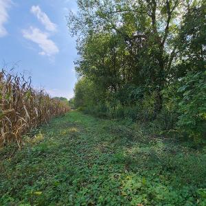 Photo #8 of SOLD property in Off Coles Ferry Road, Nathalie, VA 31.5 acres