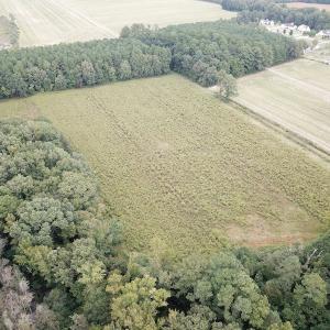 Photo #3 of SOLD property in Off Hwy 343 North, Camden, NC 13.6 acres