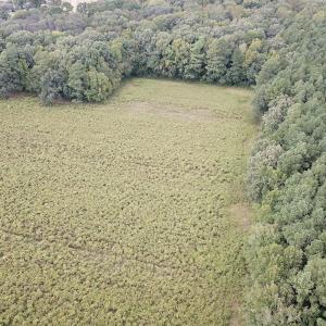 Photo #7 of SOLD property in Off Hwy 343 North, Camden, NC 13.6 acres