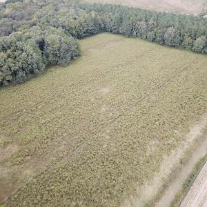 Photo #6 of SOLD property in Off Hwy 343 North, Camden, NC 13.6 acres