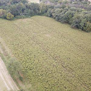Photo #8 of SOLD property in Off Hwy 343 North, Camden, NC 13.6 acres
