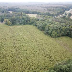 Photo #5 of SOLD property in Off Hwy 343 North, Camden, NC 13.6 acres
