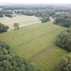 Photo #9 of SOLD property in Off Hwy 343 North, Camden, NC 13.6 acres