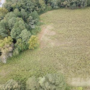 Photo #10 of SOLD property in Off Hwy 343 North, Camden, NC 13.6 acres