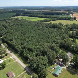 Photo #10 of SOLD property in Off Williams Loop Road, Roper, NC 9.1 acres