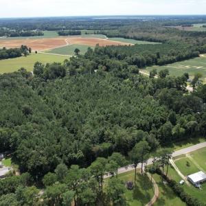 Photo #12 of SOLD property in Off Williams Loop Road, Roper, NC 9.1 acres