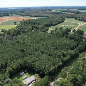 Photo #13 of SOLD property in Off Williams Loop Road, Roper, NC 9.1 acres