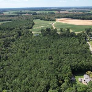 Photo #14 of SOLD property in Off Williams Loop Road, Roper, NC 9.1 acres