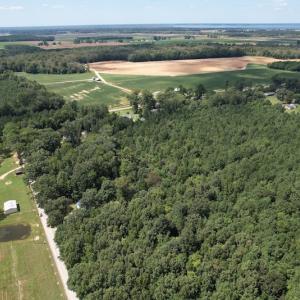 Photo #15 of SOLD property in Off Williams Loop Road, Roper, NC 9.1 acres