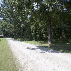 Photo #17 of SOLD property in Off Williams Loop Road, Roper, NC 9.1 acres
