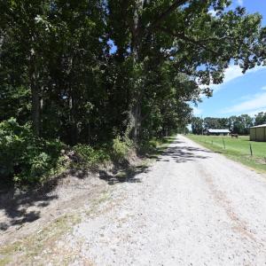 Photo #18 of SOLD property in Off Williams Loop Road, Roper, NC 9.1 acres