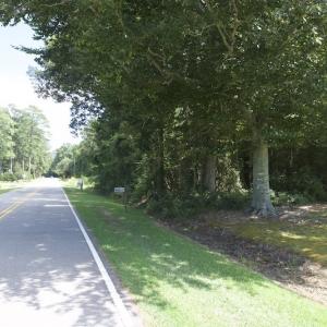 Photo #19 of SOLD property in Off Williams Loop Road, Roper, NC 9.1 acres