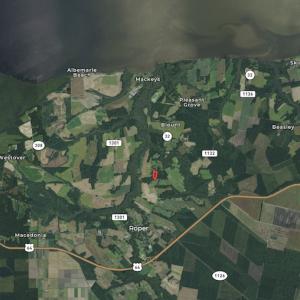 Photo #3 of SOLD property in Off Williams Loop Road, Roper, NC 9.1 acres