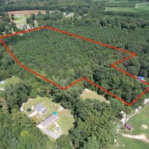 Photo #4 of SOLD property in Off Williams Loop Road, Roper, NC 9.1 acres