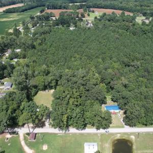Photo #5 of SOLD property in Off Williams Loop Road, Roper, NC 9.1 acres