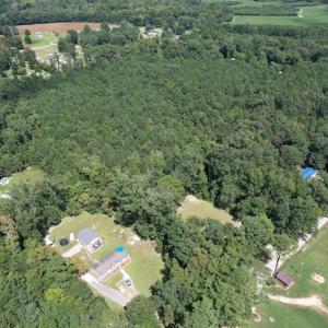 Photo #6 of SOLD property in Off Williams Loop Road, Roper, NC 9.1 acres