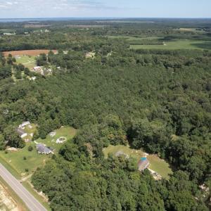 Photo #7 of SOLD property in Off Williams Loop Road, Roper, NC 9.1 acres