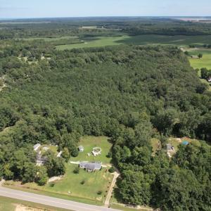 Photo #8 of SOLD property in Off Williams Loop Road, Roper, NC 9.1 acres